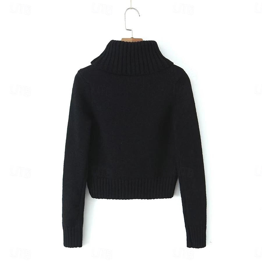 Set with Cropped Turtleneck Sweater Knitted Mini Skirt 2 PCS Sexy Cute Y2K Casual Daily Outfits