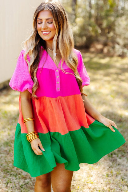 Vibrant Color Panel Ruffle Sleeve Mini Dress