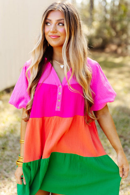 Vibrant Color Panel Ruffle Sleeve Mini Dress