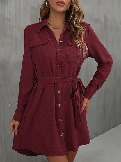 Mini Dresses - Commuter Lapel Lace Solid Mini Dress - MsDressly