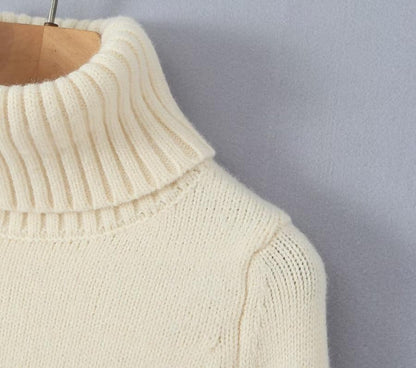 Set with Cropped Turtleneck Sweater Knitted Mini Skirt 2 PCS Sexy Cute Y2K Casual Daily Outfits