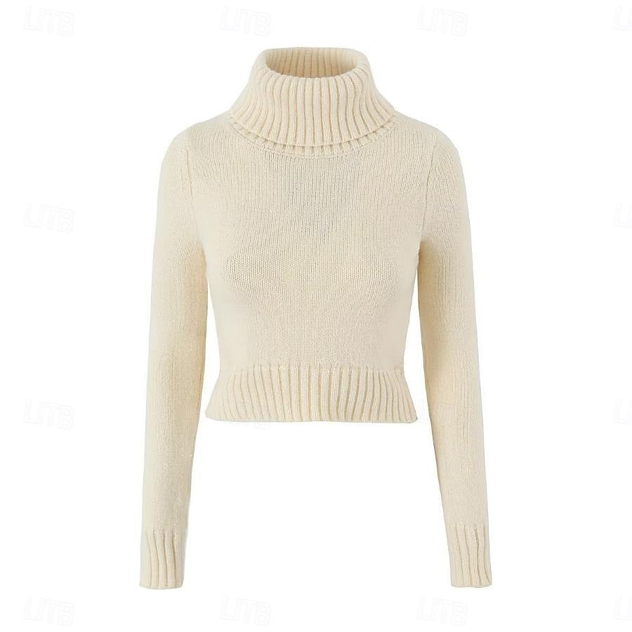 Set with Cropped Turtleneck Sweater Knitted Mini Skirt 2 PCS Sexy Cute Y2K Casual Daily Outfits