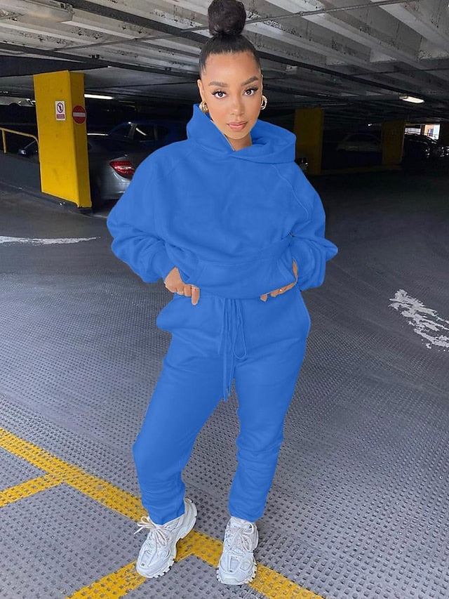 Women's Hoodie Tracksuit Pants Sets Streetwear Blue Pink Sports Outdoor Casual Daily Plain Drawstring Hooded S M L XL XXL - LuckyFash™