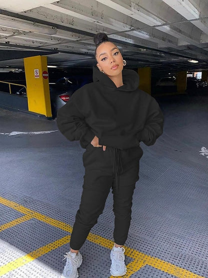 Women's Hoodie Tracksuit Pants Sets Streetwear Blue Pink Sports Outdoor Casual Daily Plain Drawstring Hooded S M L XL XXL - LuckyFash™