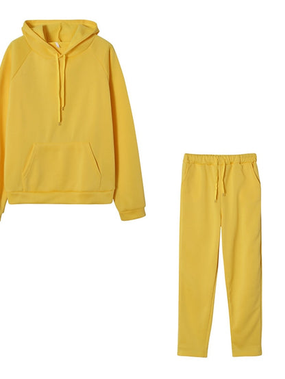 Women's Hoodie Tracksuit Pants Sets Streetwear Blue Pink Sports Outdoor Casual Daily Plain Drawstring Hooded S M L XL XXL - LuckyFash™