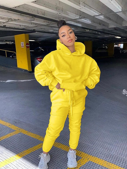 Women's Hoodie Tracksuit Pants Sets Streetwear Blue Pink Sports Outdoor Casual Daily Plain Drawstring Hooded S M L XL XXL - LuckyFash™