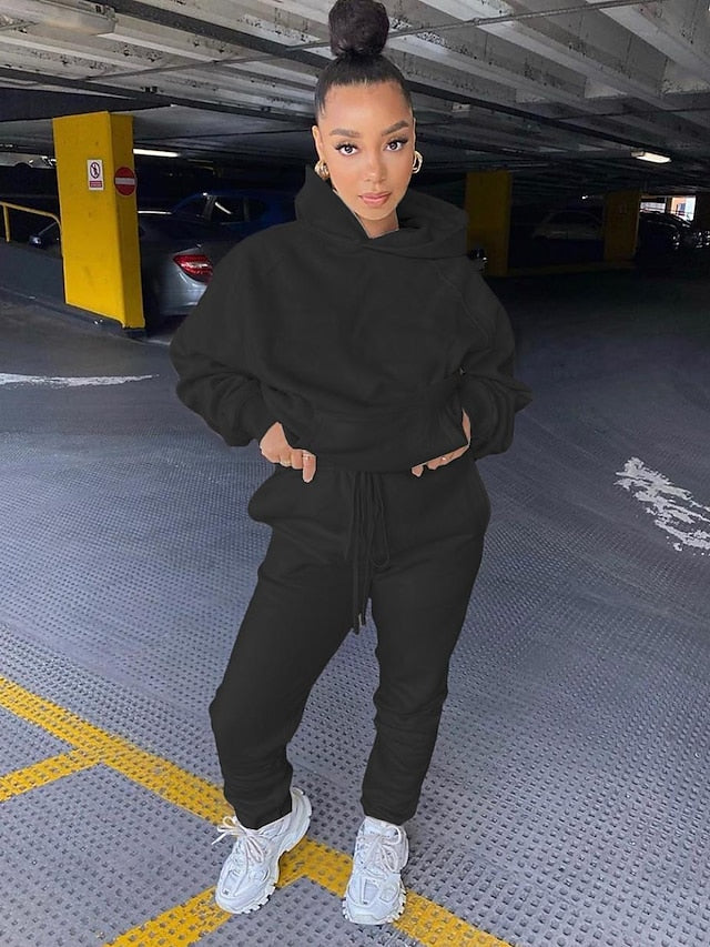 Women's Hoodie Tracksuit Pants Sets Streetwear Blue Pink Sports Outdoor Casual Daily Plain Drawstring Hooded S M L XL XXL - LuckyFash™