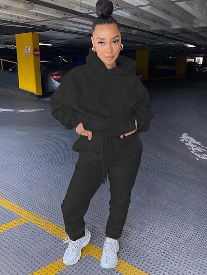 Women's Hoodie Tracksuit Pants Sets Streetwear Blue Pink Sports Outdoor Casual Daily Plain Drawstring Hooded S M L XL XXL - LuckyFash™