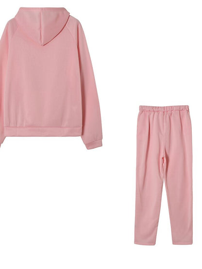 Women's Hoodie Tracksuit Pants Sets Streetwear Blue Pink Sports Outdoor Casual Daily Plain Drawstring Hooded S M L XL XXL - LuckyFash™