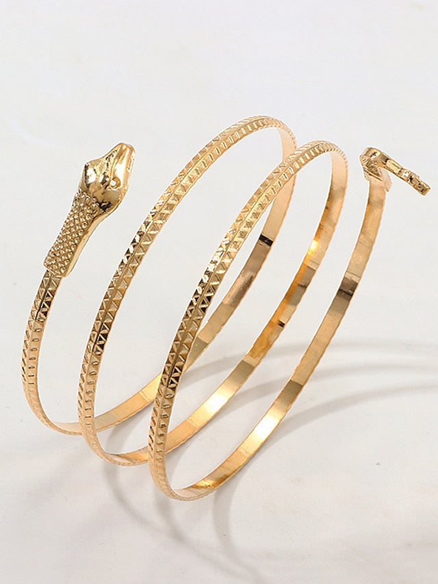 Women's Bangle Fashion Outdoor Snake Bracelets & Bangles - LuckyFash™