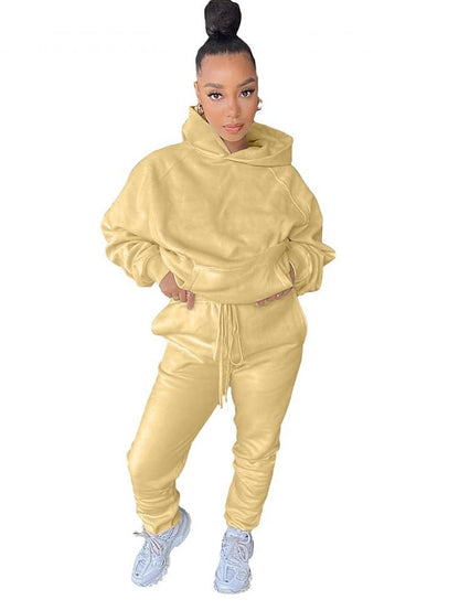 Women's Hoodie Tracksuit Pants Sets Streetwear Blue Pink Sports Outdoor Casual Daily Plain Drawstring Hooded S M L XL XXL - LuckyFash™